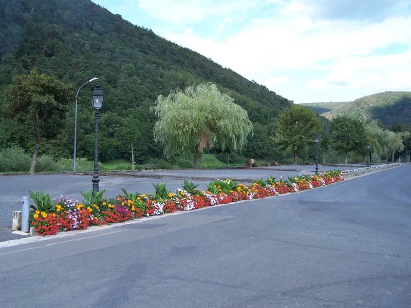 REVIN, Ville Fleurie "2 Fleurs"