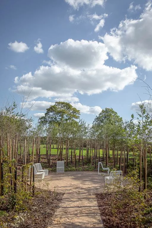 Brouillard blanc, le Jardin de la Paix tchèque et slovaque