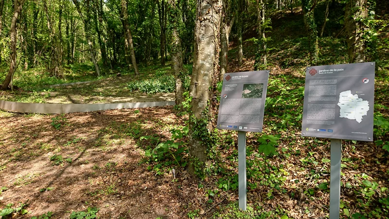 Vestiges du village de Craonne et son arboretum