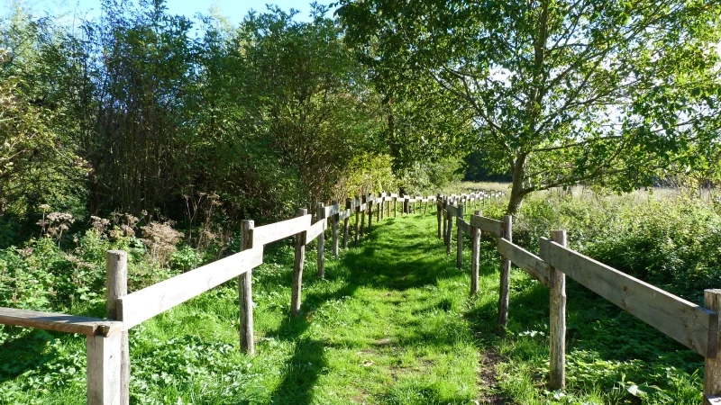 Espace naturel sensible de la prairie du Puiseaux et du Vernisson