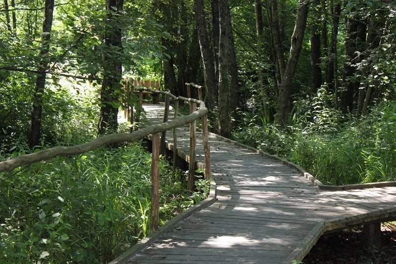 Le Sentier La Reine des Prés