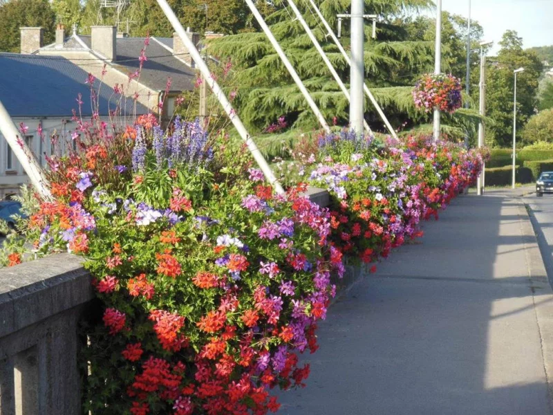 Vouziers - Ville Fleurie "2 fleurs"