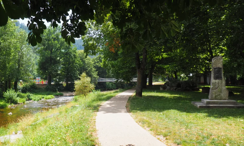 BUSTE DE L'ABBÉ LUCIEN OZIOL