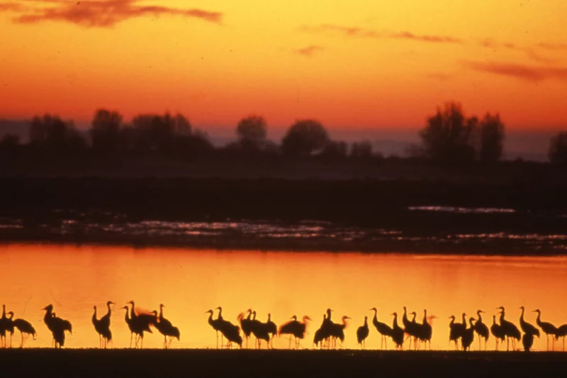 Parc naturel régional de la Forêt d'Orient