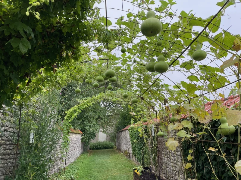 Tunnel de gourdes pélerines