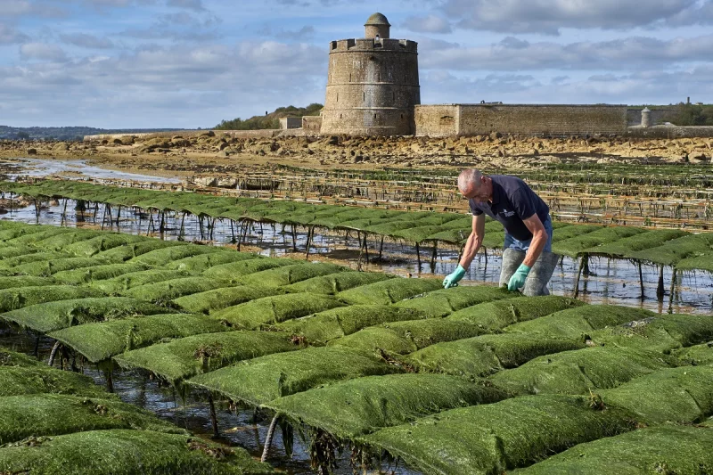 Les Jardins Ostréicoles de Tatihou