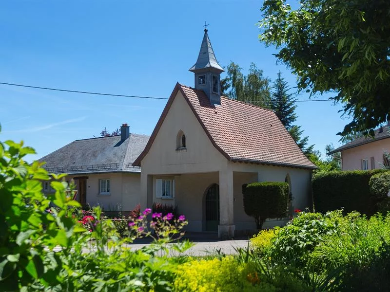 Le vignoble de la Cote 425