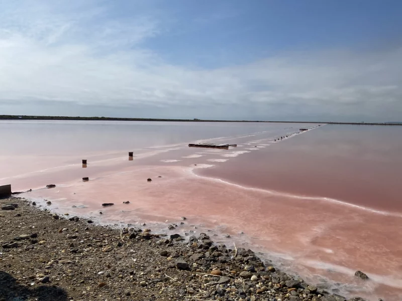 LE SALIN DE L'ÎLE SAINT-MARTIN