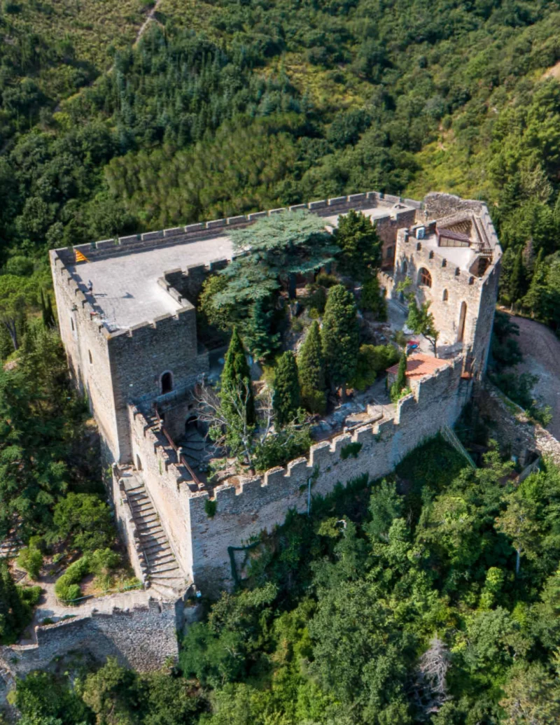CHATEAU DE CASTELNOU