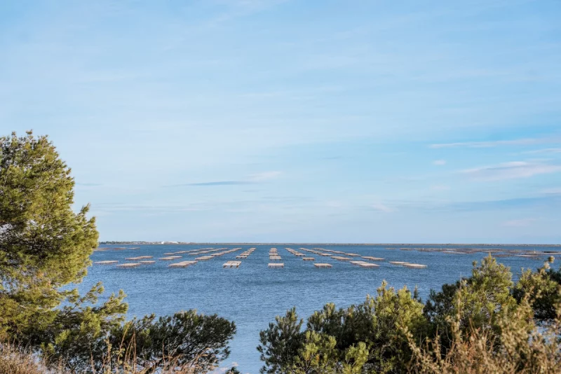 LE DOMAINE DE BELLEVUE