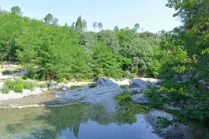 Le renard et le blaireau