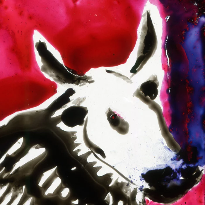 Rencontres dessinées