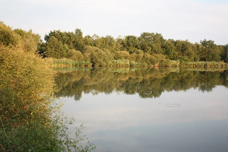 Oiseaux nicheurs de la Réserve Naturelle Régionale Terres et étangs de Brenne Massé-Foucault