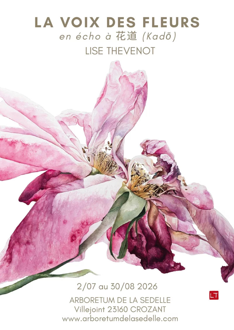 La voix des fleurs en écho à 花道 (Kadō)