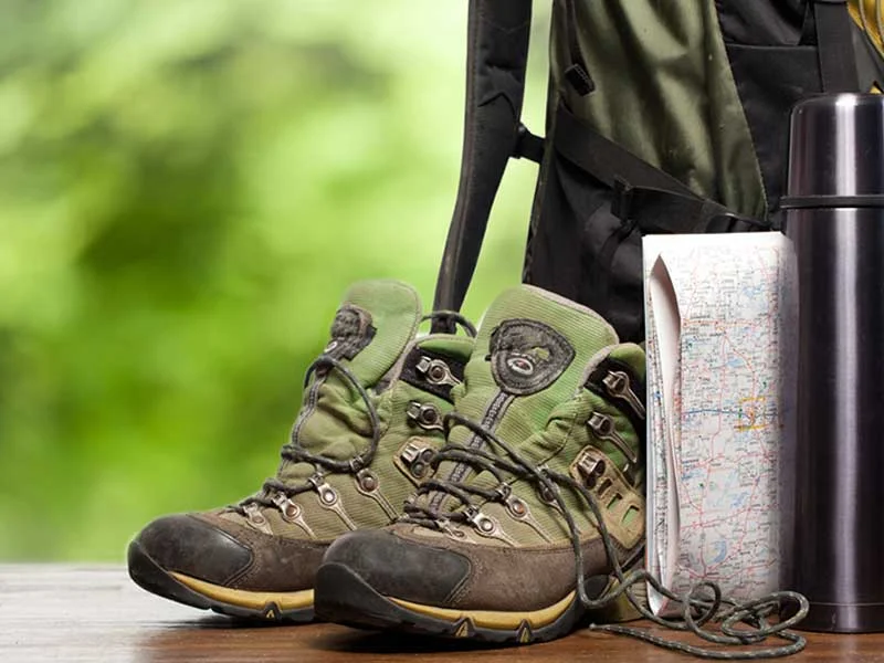 Sur les traces des mammifères semi-aquatiques