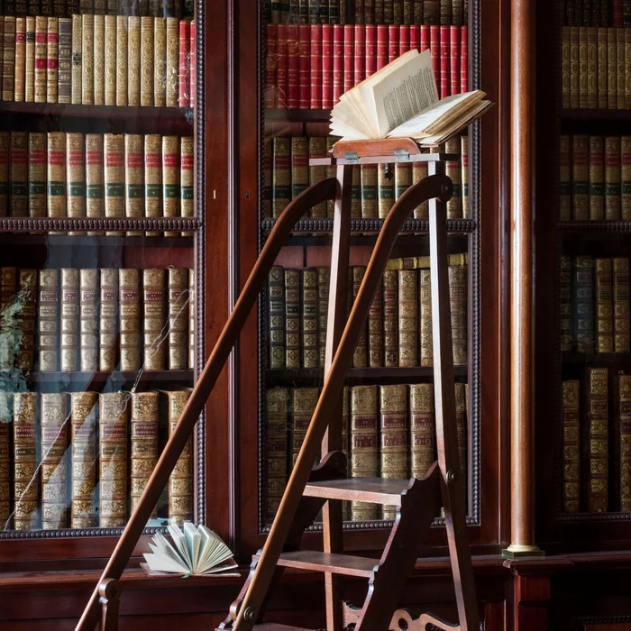 Les Bibliothèques imaginaires - Épisode 2 : La bibliothèque imaginaire de Don Quichotte et des livres interdits