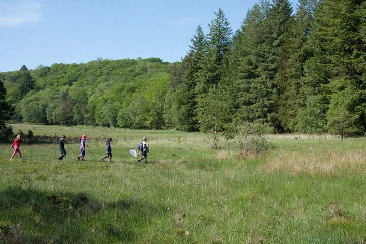 Tourbière des Dauges : on se calme et on boit frais