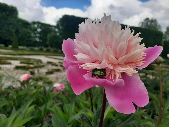 Découverte de la faune sauvage du parc