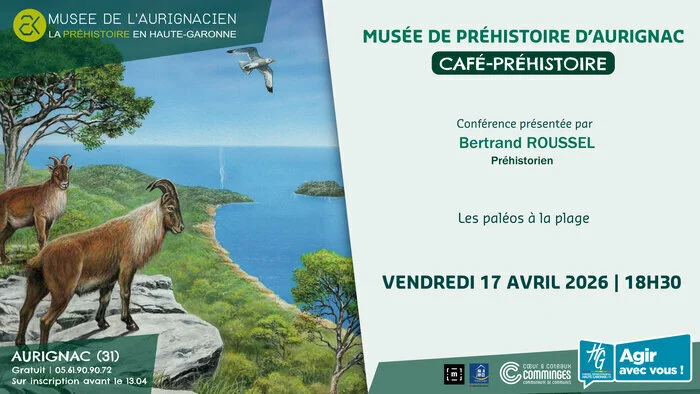 Bertrand ROUSSEL présente " Les paléos à la plage "