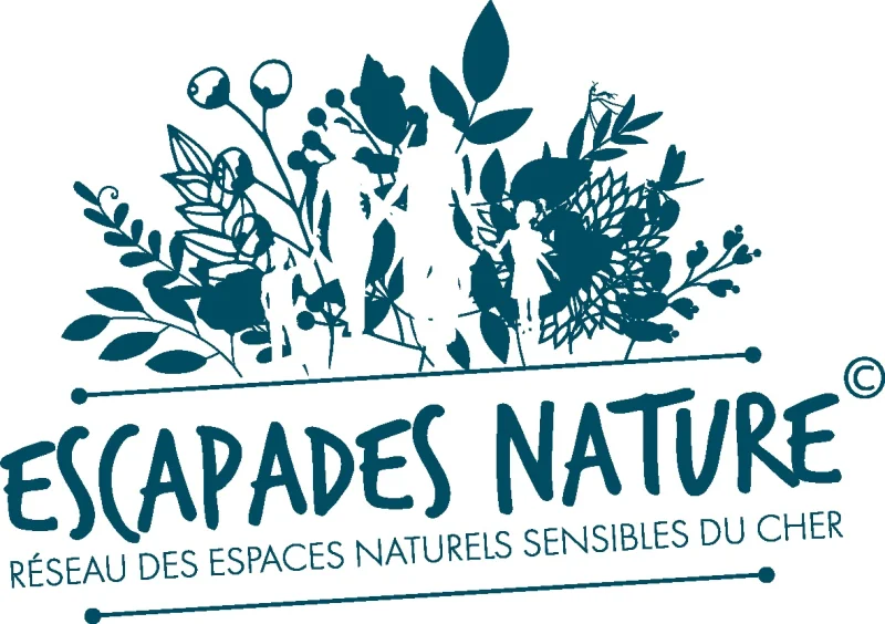 La mélodie des tourbières