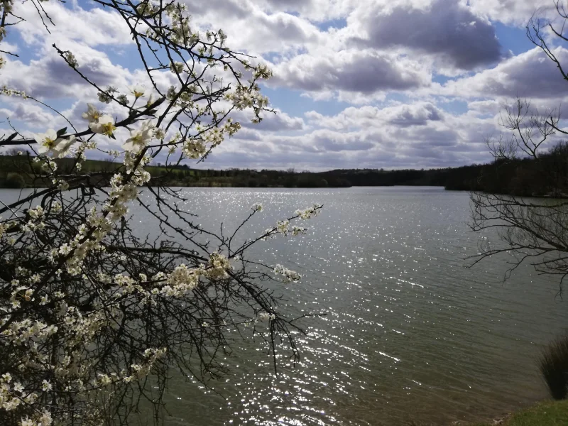 NATUR'OLAC DE LA THÉSAUQUE