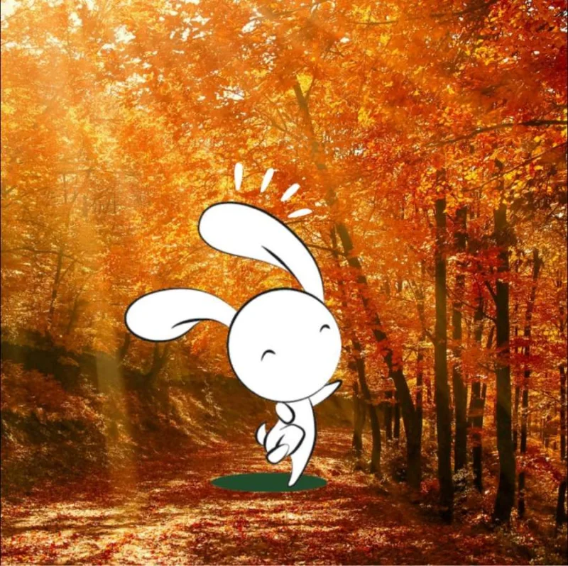 Animation nature en famille : Sacré oiseau