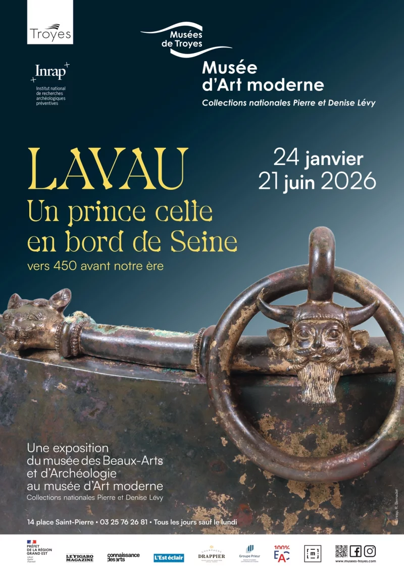 Visite guidée de l'exposition "Lavau, Un prince celte en bord de Seine"