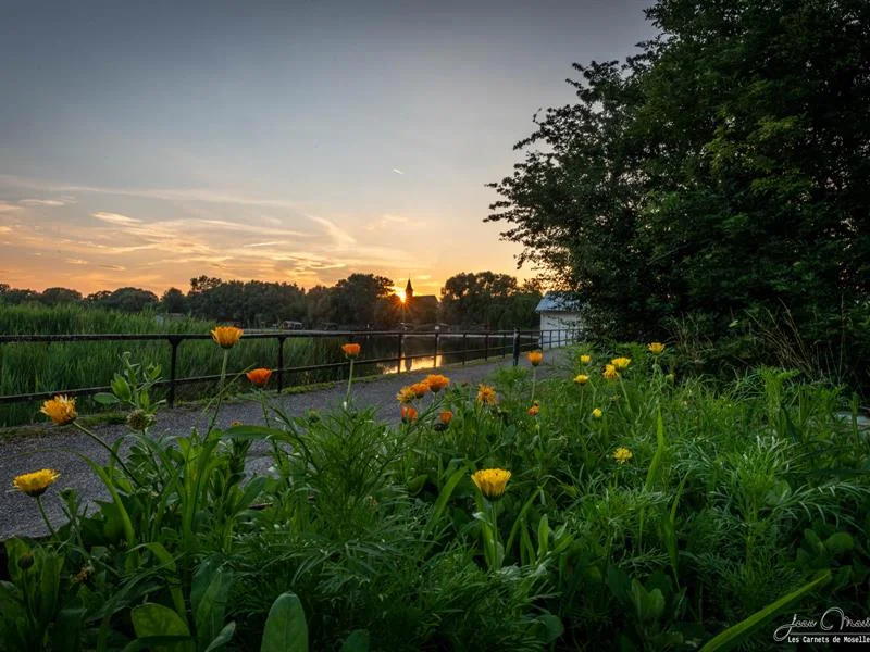 Balad'apéro sauvage