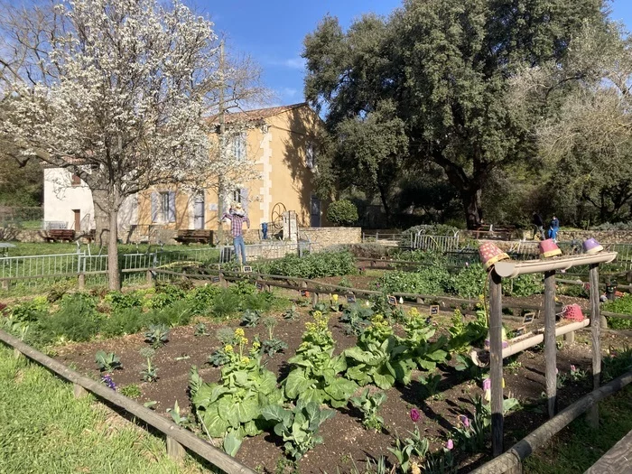 DECOUVERTE DU POTAGER