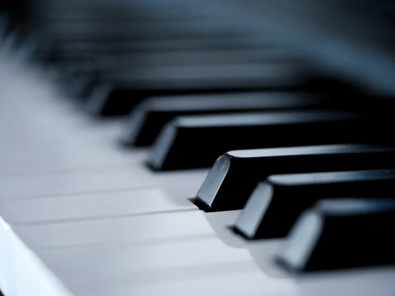 Pique-nique musical du centre d'enseignement artistique de l'estuaire