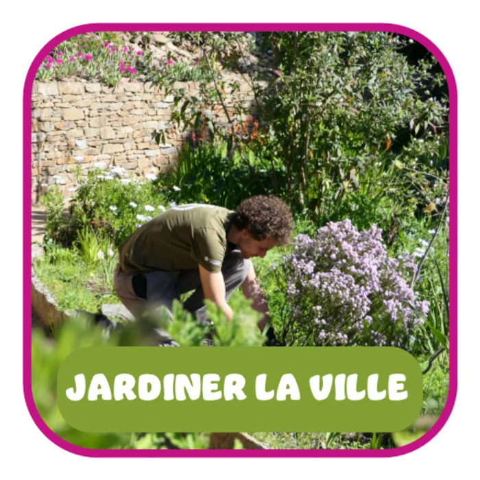 Jardin de papier
