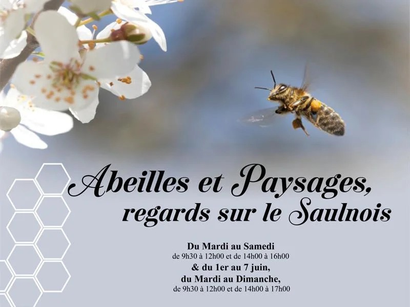 Exposition - Abeilles et paysages, regards sur le Saulnois