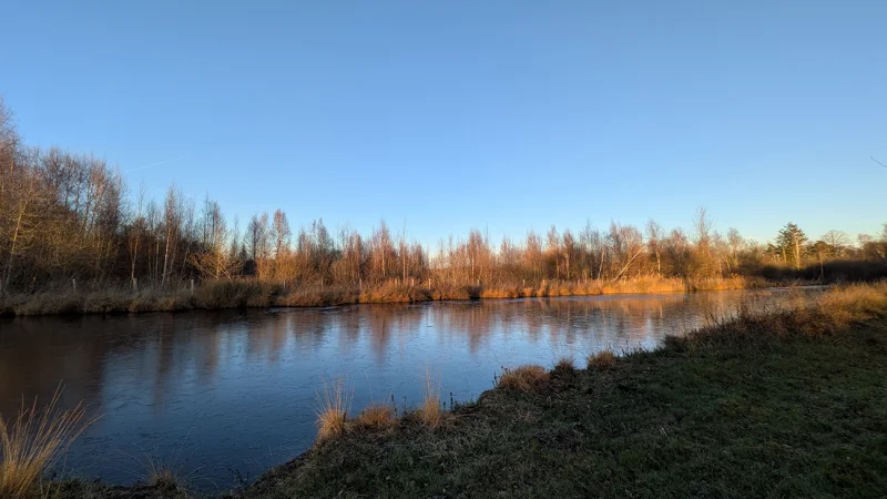 Sortie nature à Liesse-Notre-Dame : "Monde de la nuit"