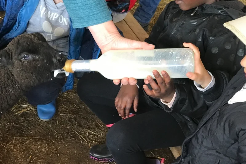 COMPLET - Les Sabots de laine accueillent le printemps