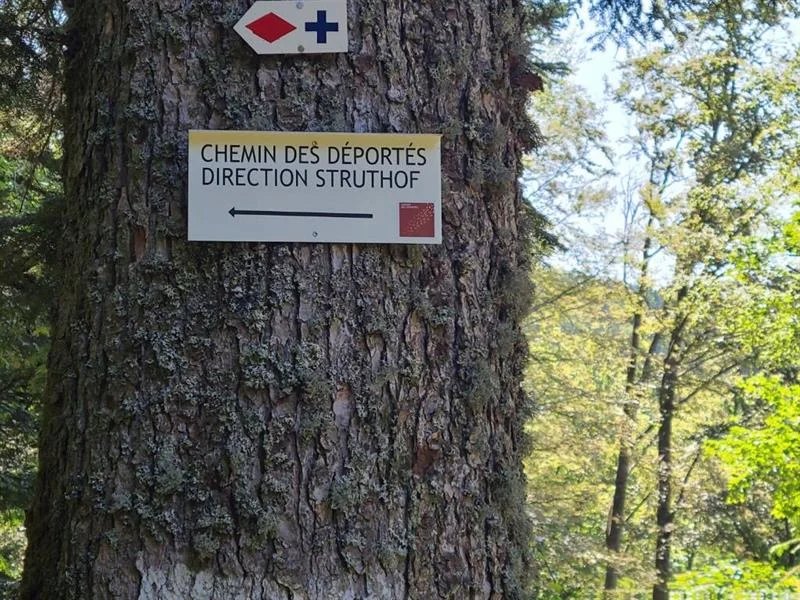 Sentiers Plaisir : Le chemin des déportés