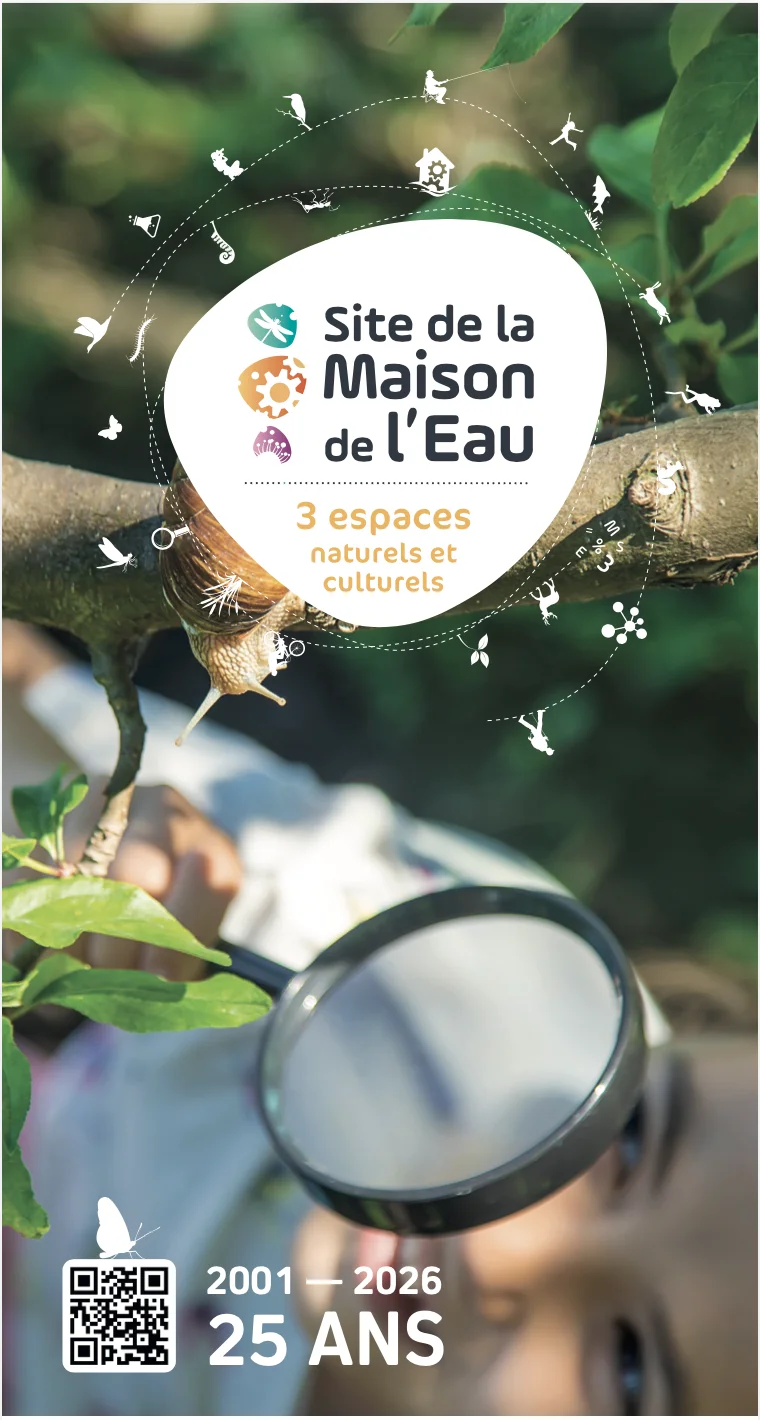 Exposition Isabelle Moreau