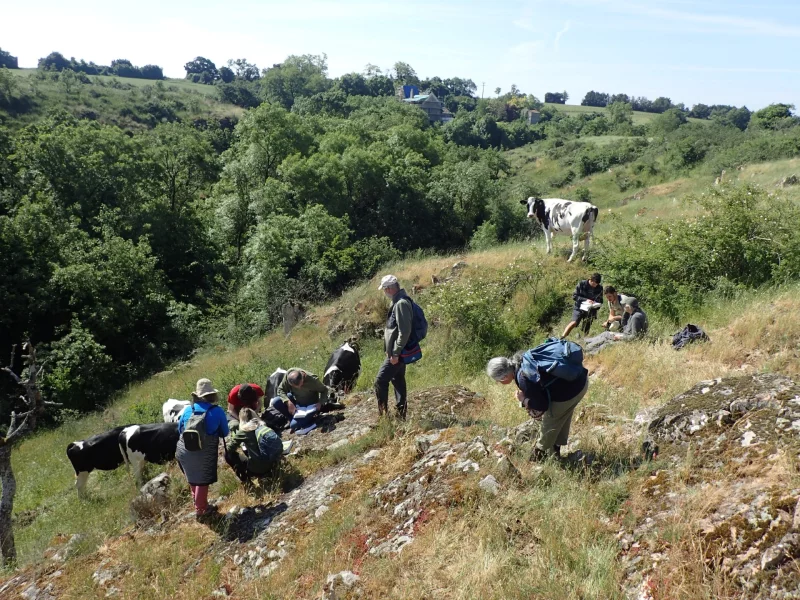 Sortie botanique - Faye-L'Abbesse, chemin de randonnée