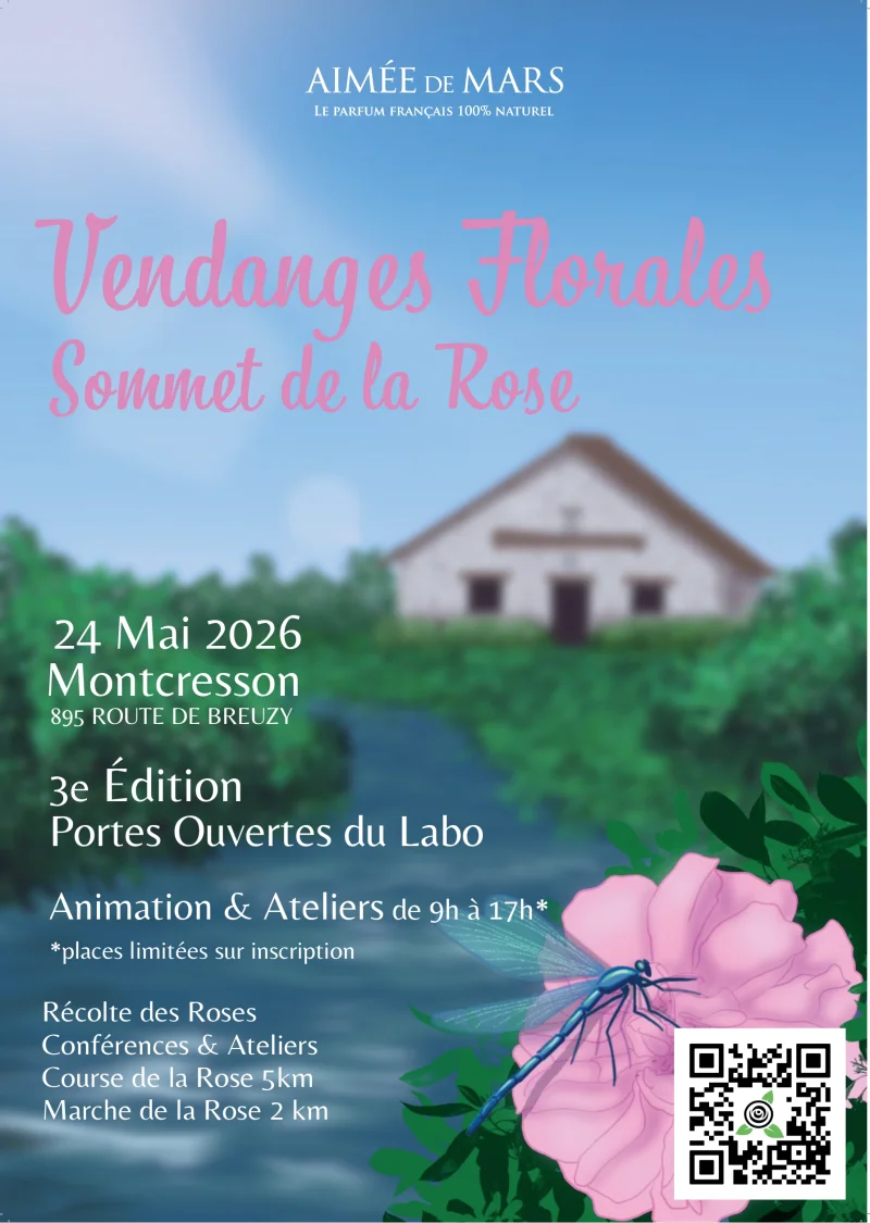 Vendanges florales-sommet de la rose