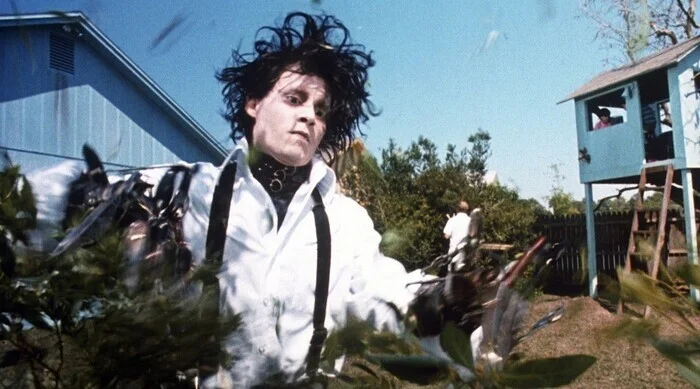 Ciné-club : "Edward aux mains d'argent" (1990)