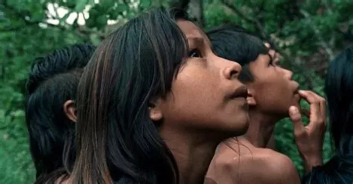 Ciné débat "La Fleur de Buriti"