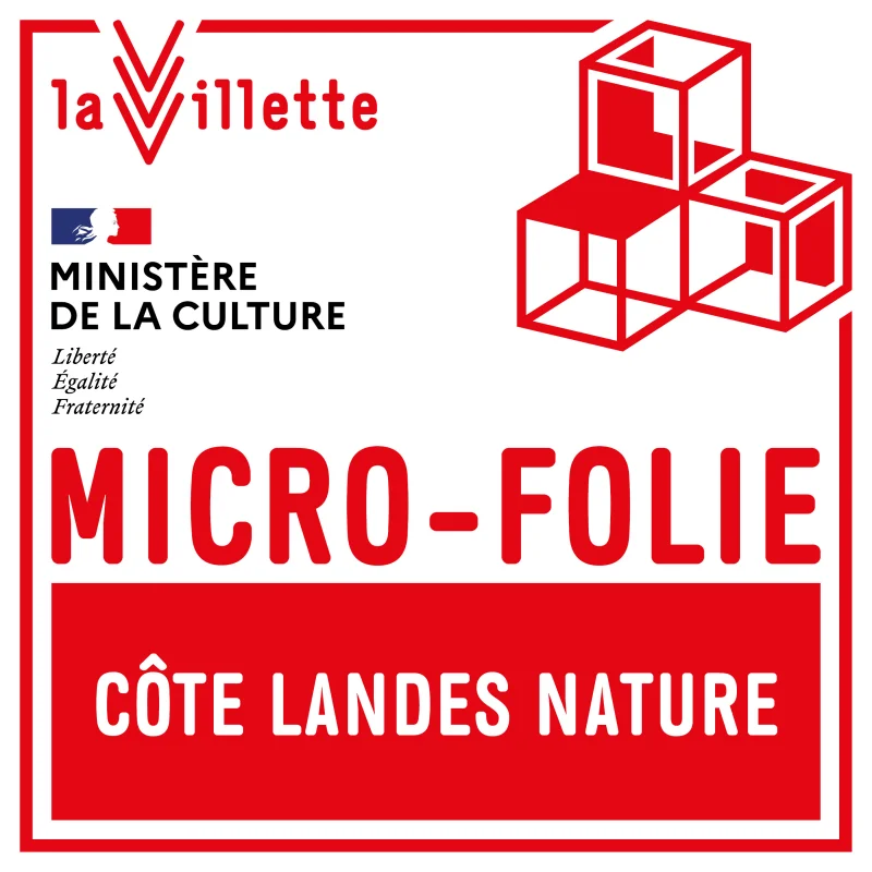 Micro-Folie "Le sport, tout un art"