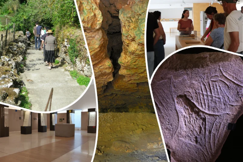 Balade préhisto' "Du musée aux grottes"