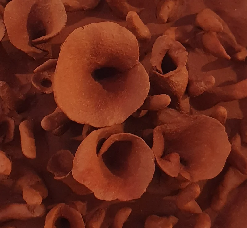 Journées Européennes des Métiers d'Art : exposition Terre à Cœurs - Cécile Laissus