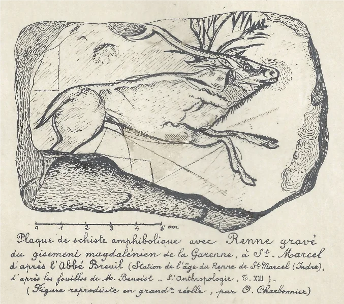 Visite au musée : les salles de la préhistoire