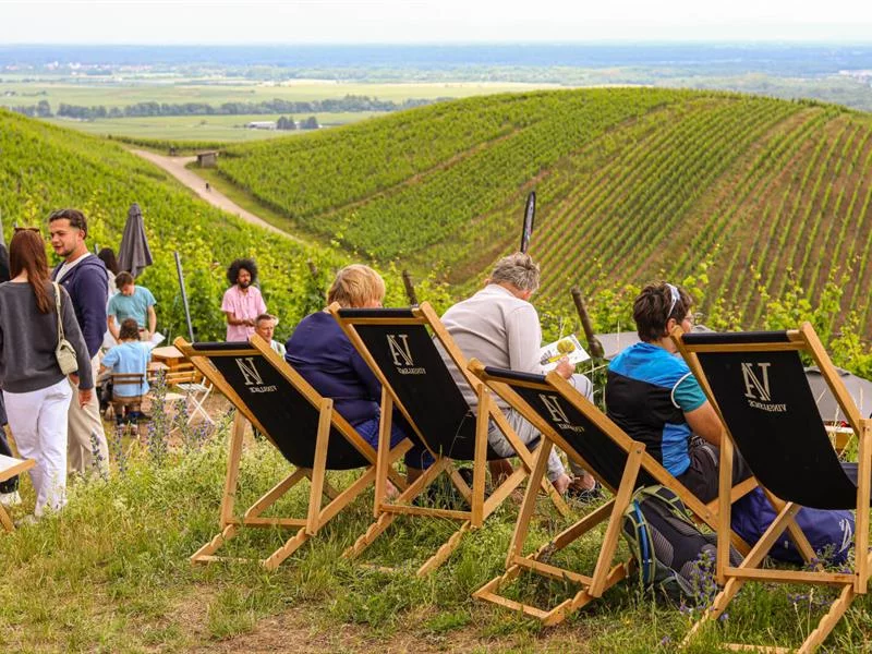 ALSACE ROCKS ! La Tournée des Terroirs - Etape #1