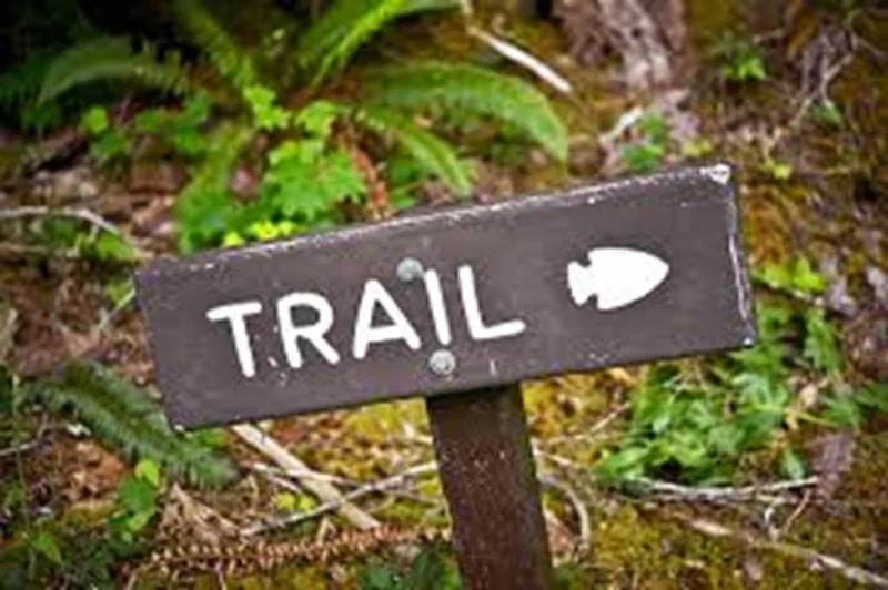 7ème Trail du Plateau