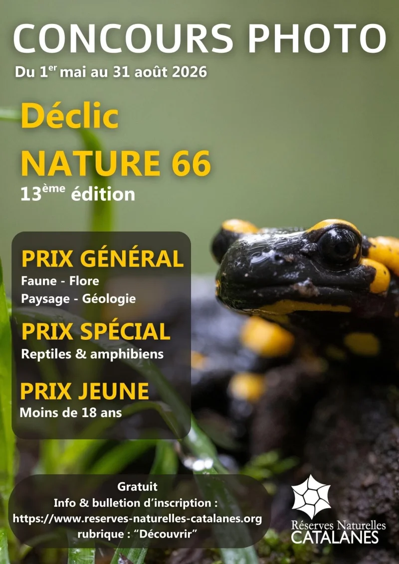 CONCOURS PHOTO DÉCLIC NATURE