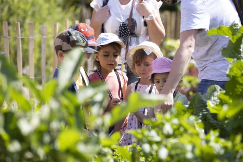 Les p'tits ateliers du printemps