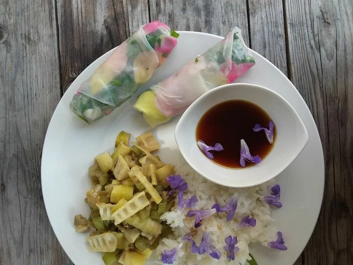 Cueillette et cuisine sauvage