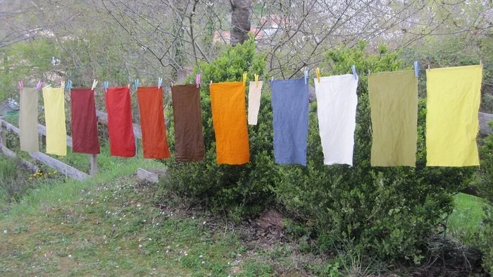 Découverte de la teinture végétale